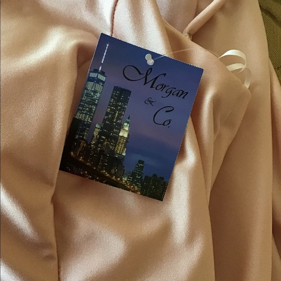 A Beautiful blush pink prom J size 15 - Picture 6 of 7